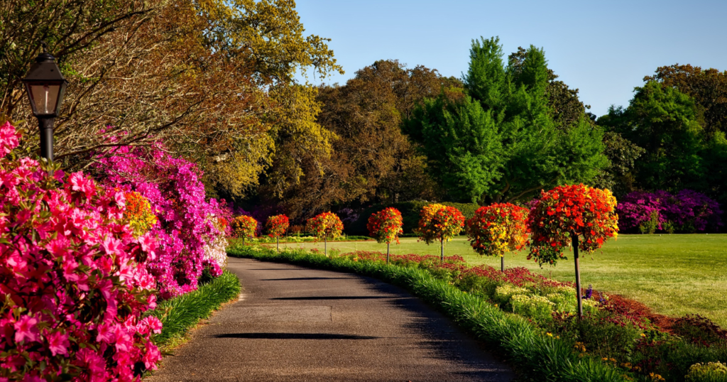 Fall Garden Plants The Ultimate Guide for Seasonal Splendor